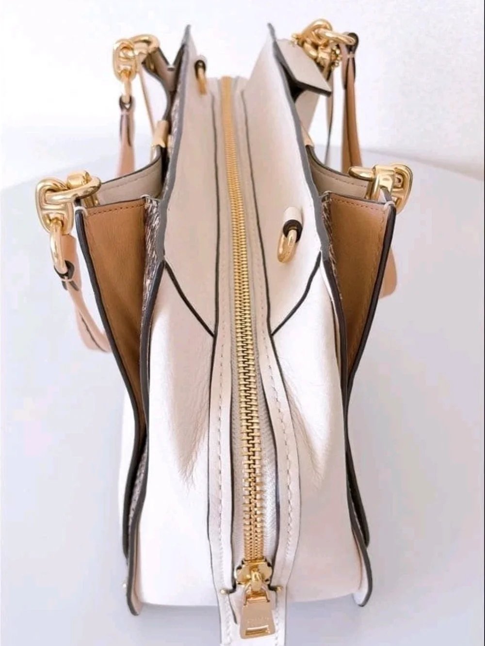 Coach Dreamer 36 in Colorblock with Genuine Snakeskin Details